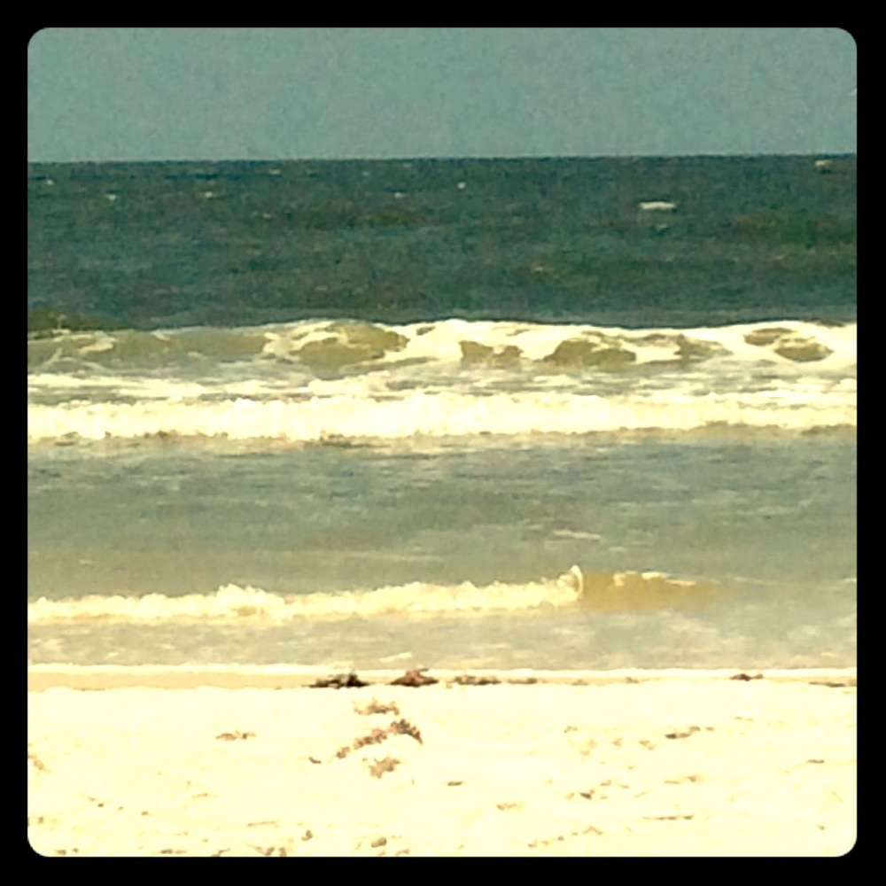 Meet your Posher, Natalee